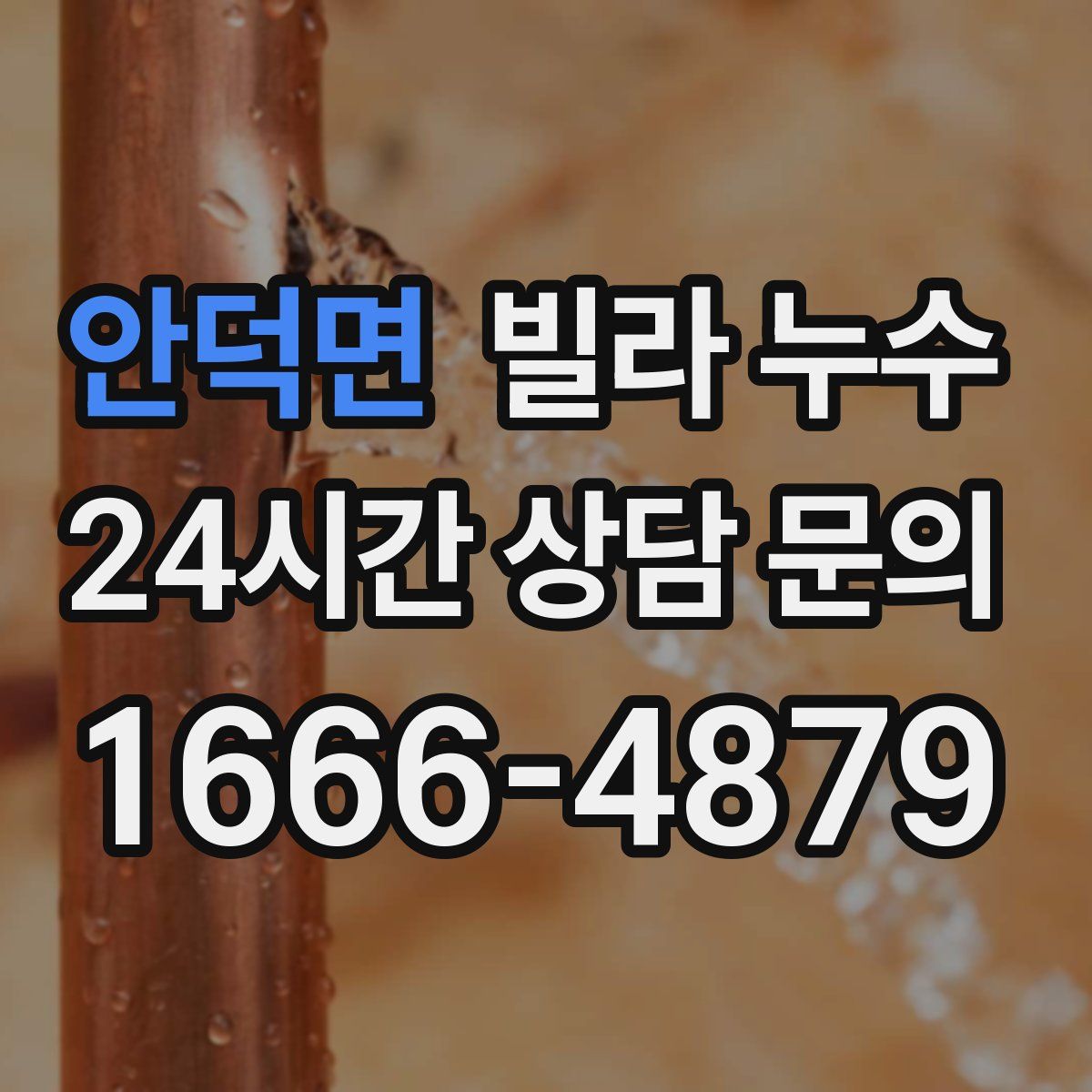 안덕면 빌라 누수