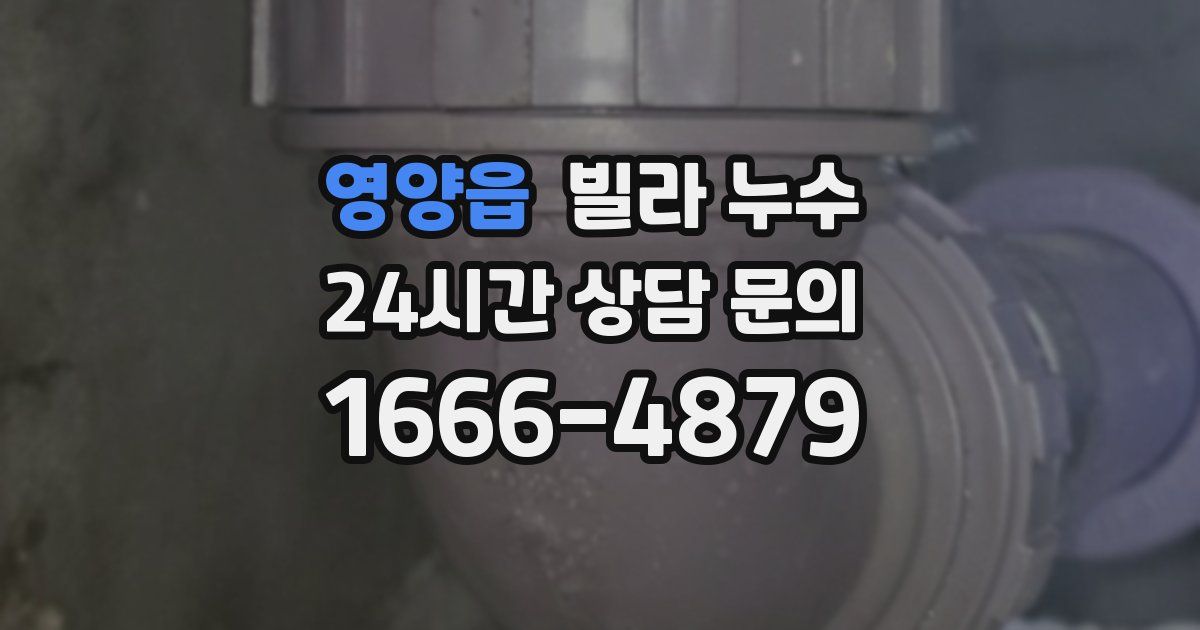 영양읍 빌라 누수