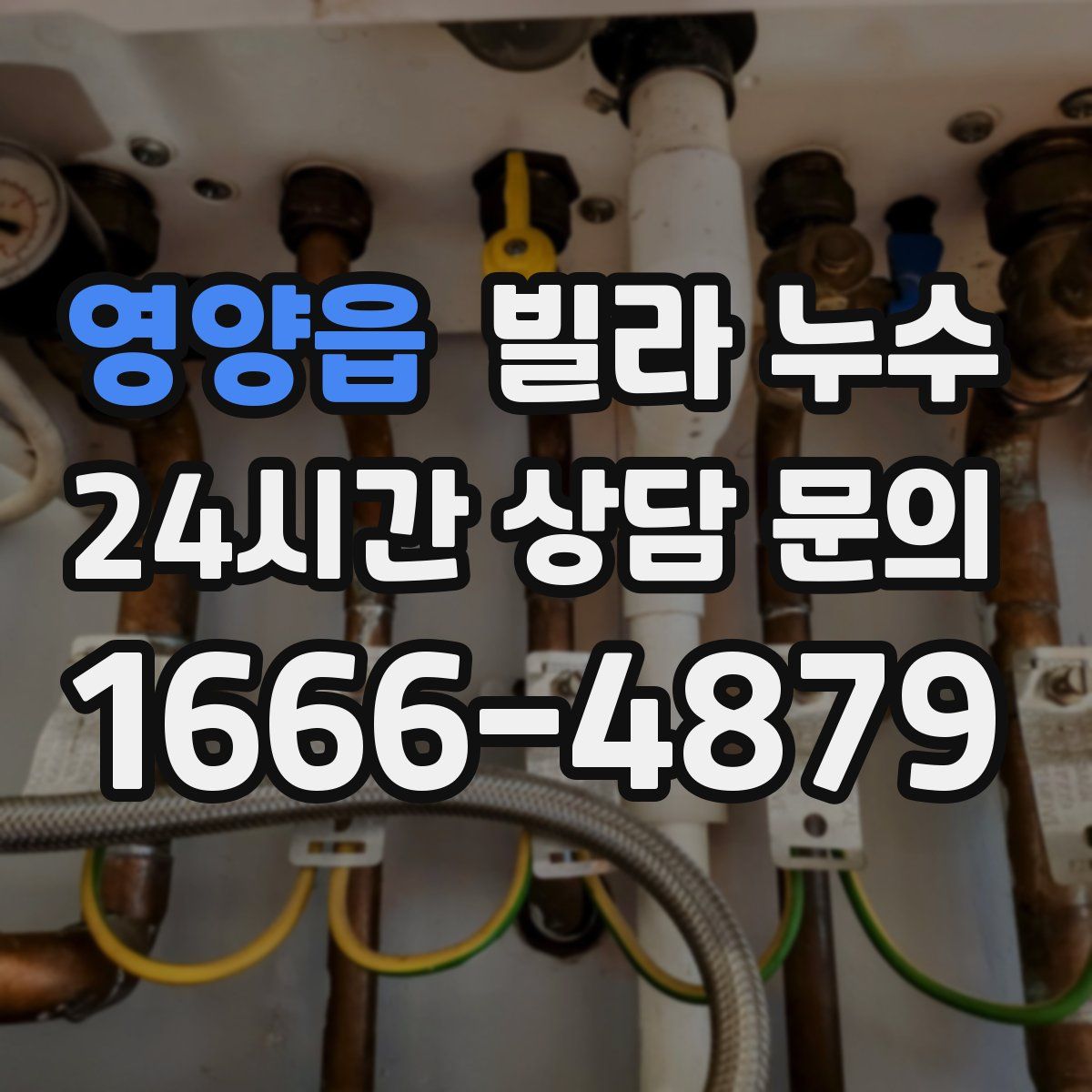 영양읍 빌라 누수