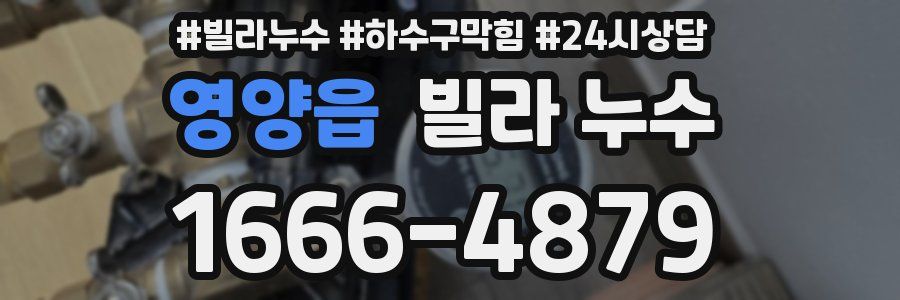 영양읍 빌라 누수