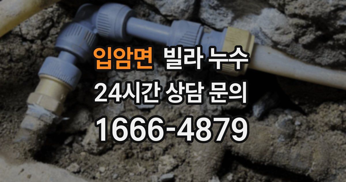 입암면 빌라 누수