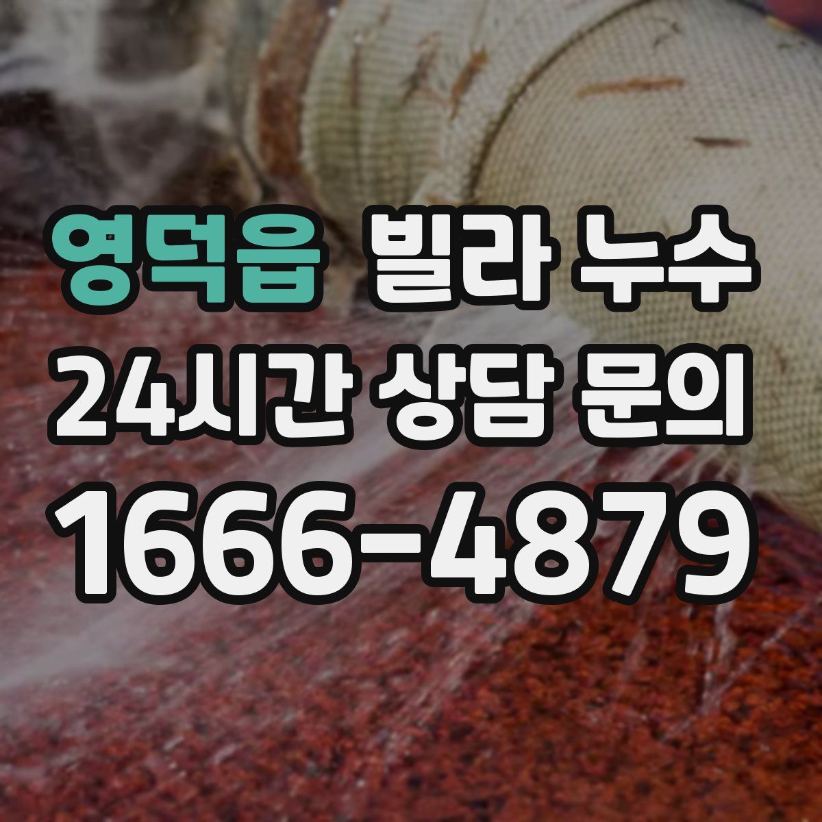 영덕읍 빌라 누수