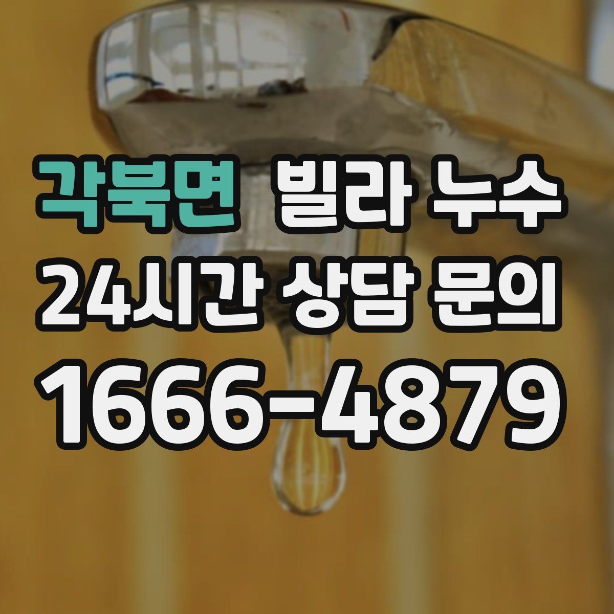 각북면 빌라 누수 도배만 다시 하면 재발하는 이유