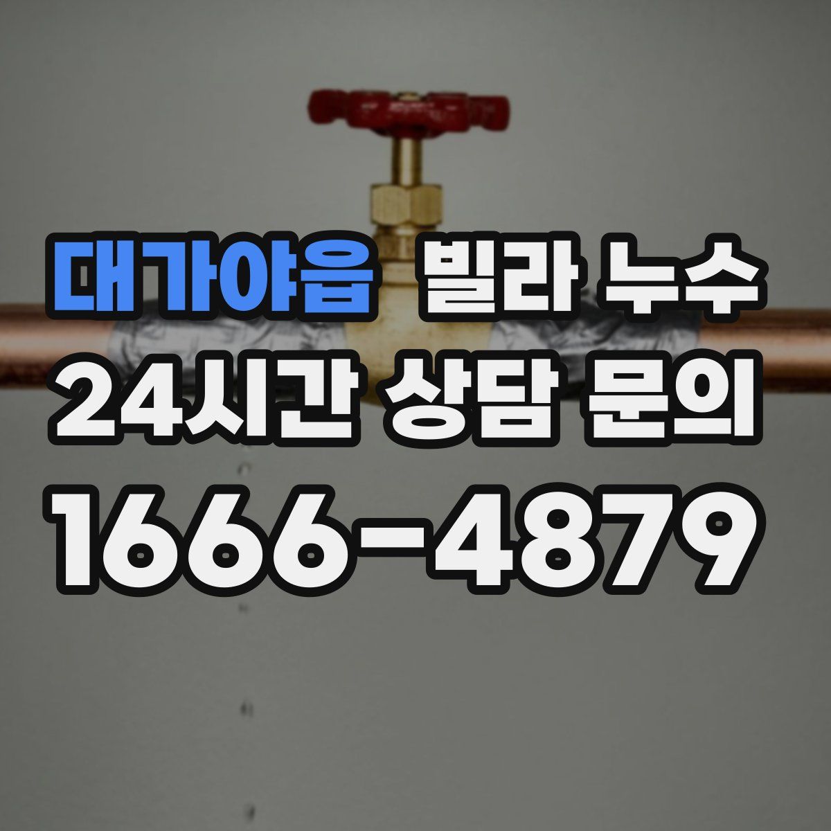 대가야읍 빌라 누수