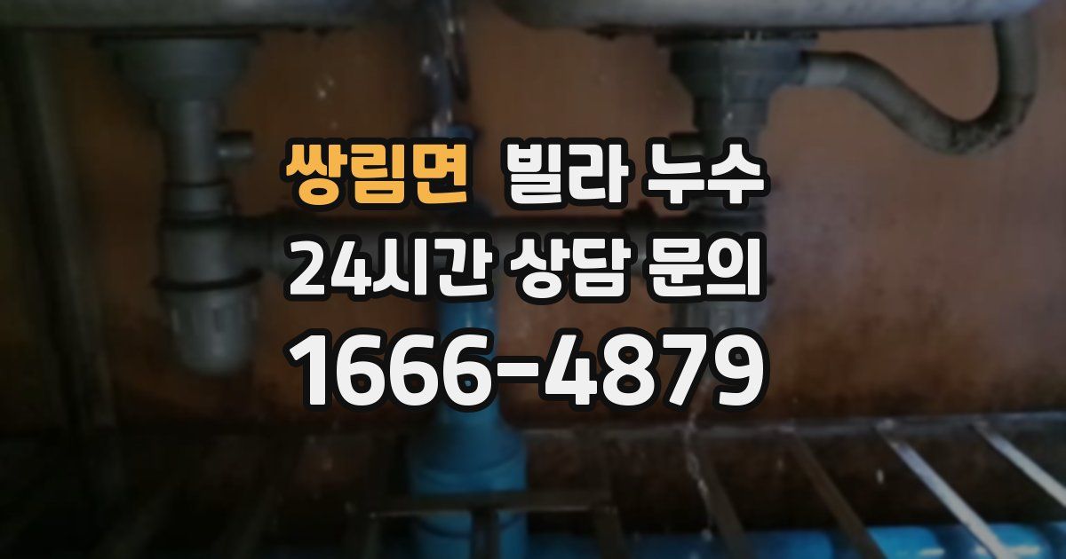 쌍림면 빌라 누수