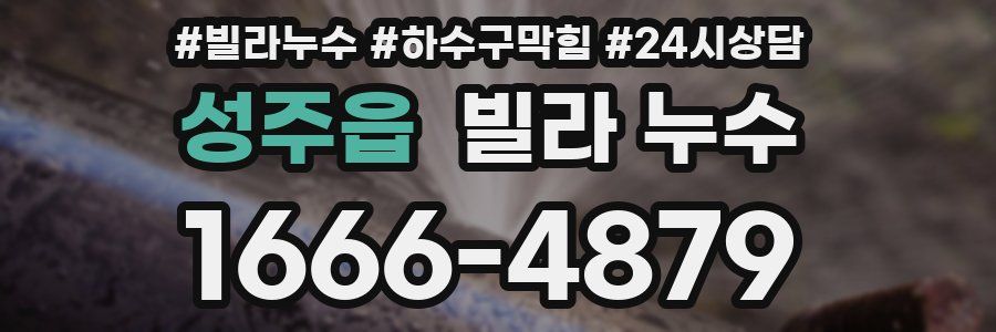 성주읍 빌라 누수