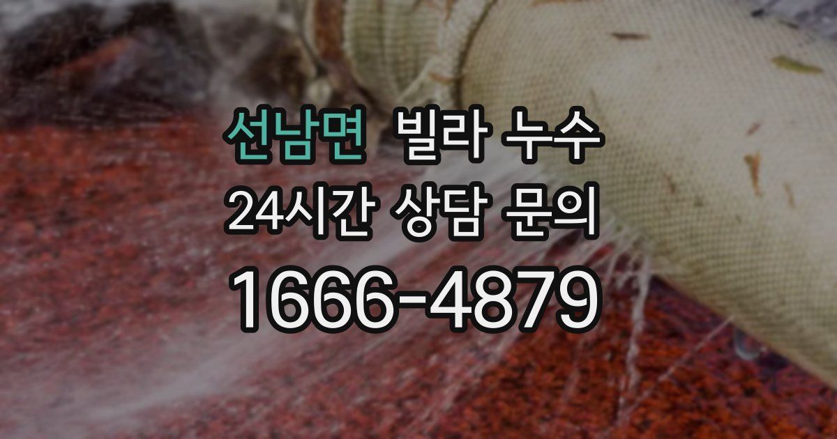 선남면 빌라 누수