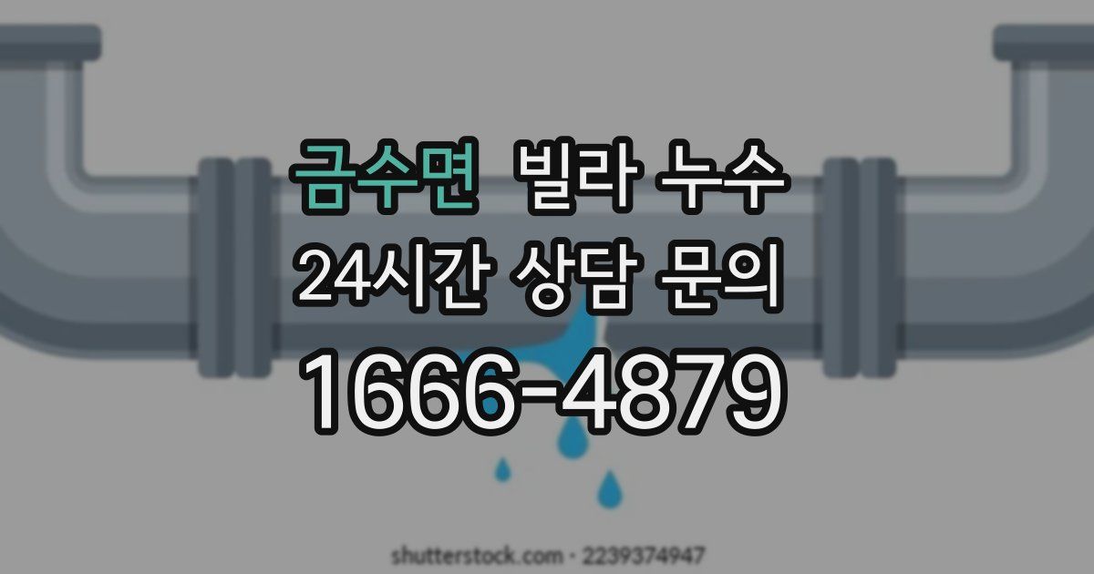 금수면 빌라 누수