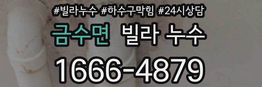 금수면 빌라 누수