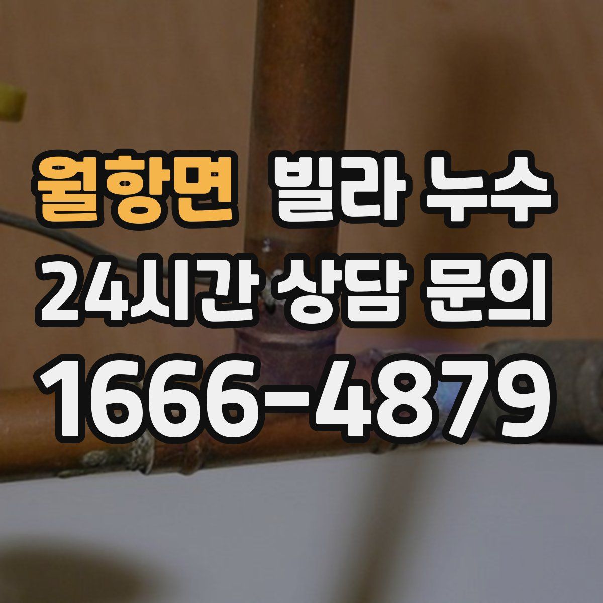 월항면 빌라 누수