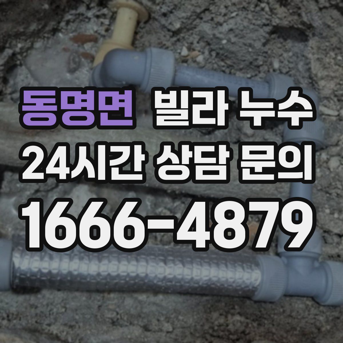 동명면 빌라 누수