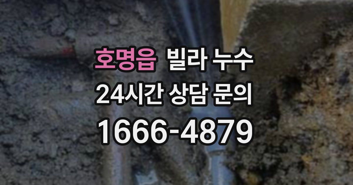 호명읍 빌라 누수