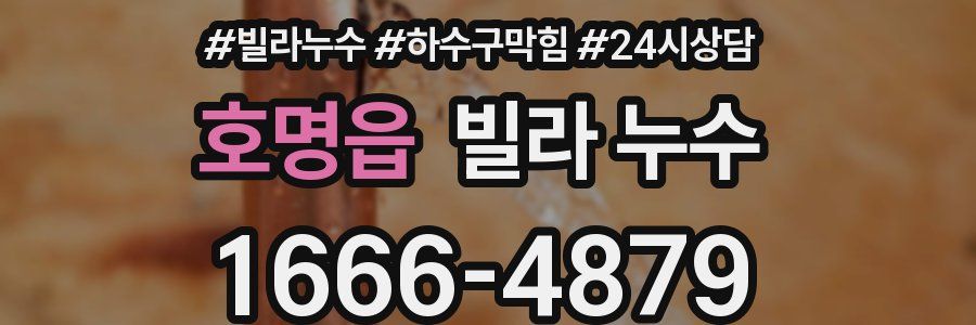호명읍 빌라 누수