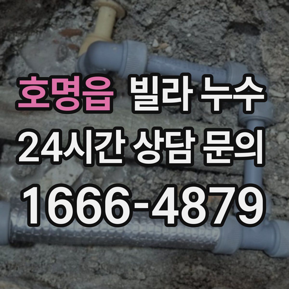 호명읍 빌라 누수