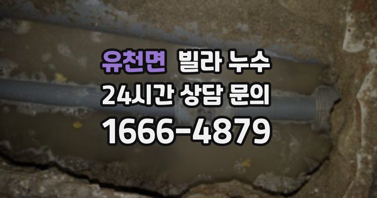 유천면 빌라 누수