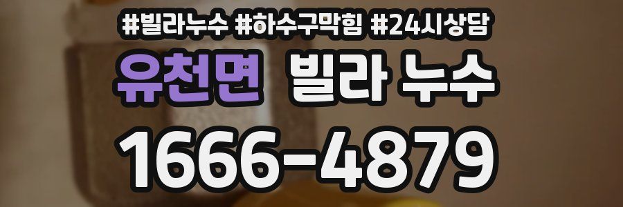 유천면 빌라 누수