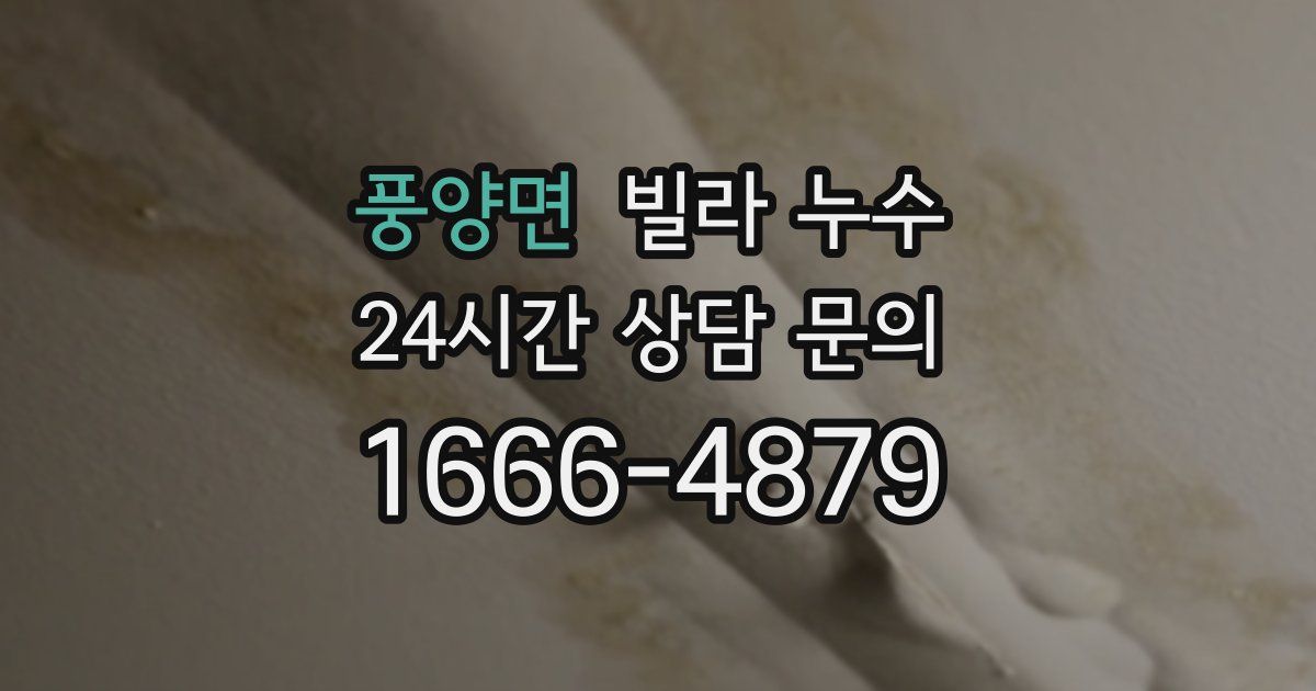 풍양면 빌라 누수