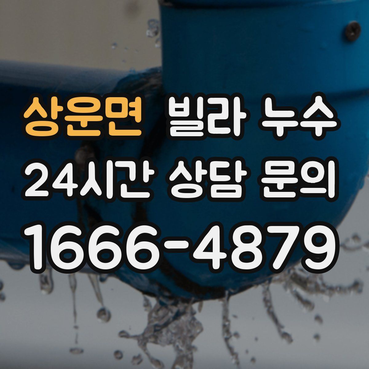 상운면 빌라 누수