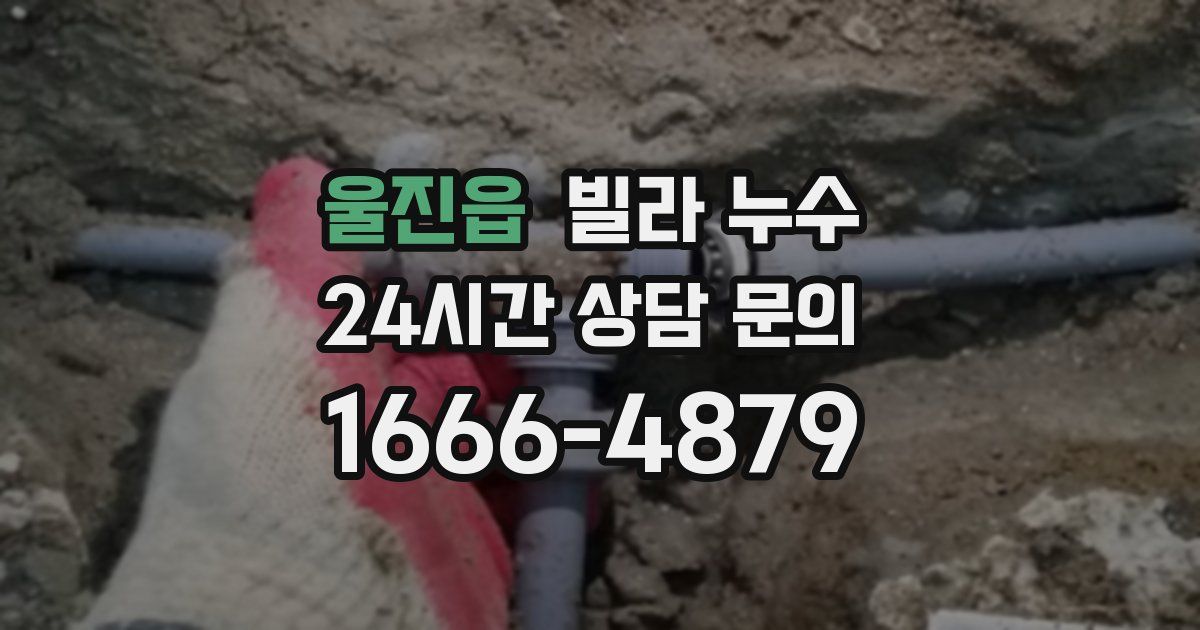 울진읍 빌라 누수