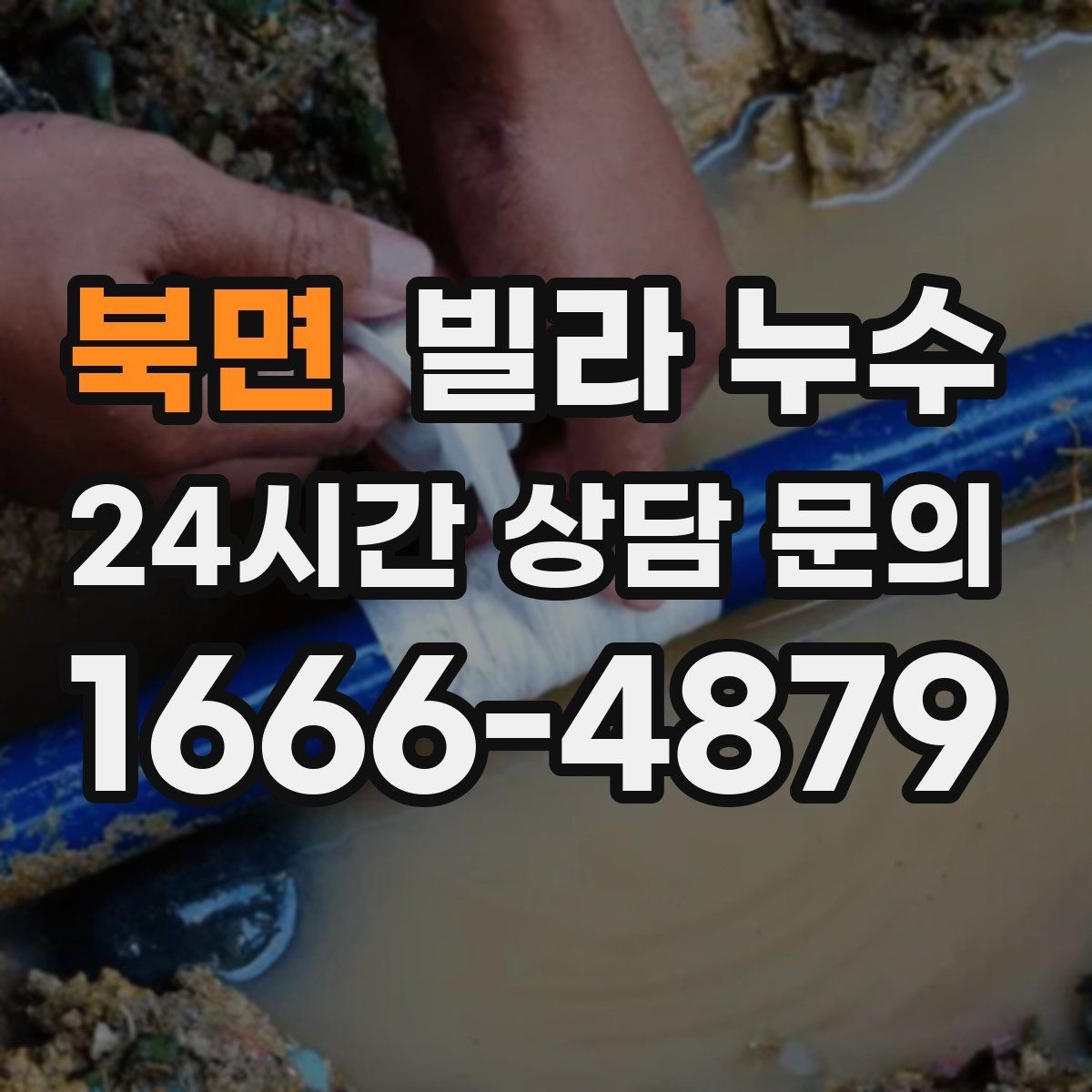 북면 빌라 누수 곰팡이 냄새가 심해졌다면 누수 가능성