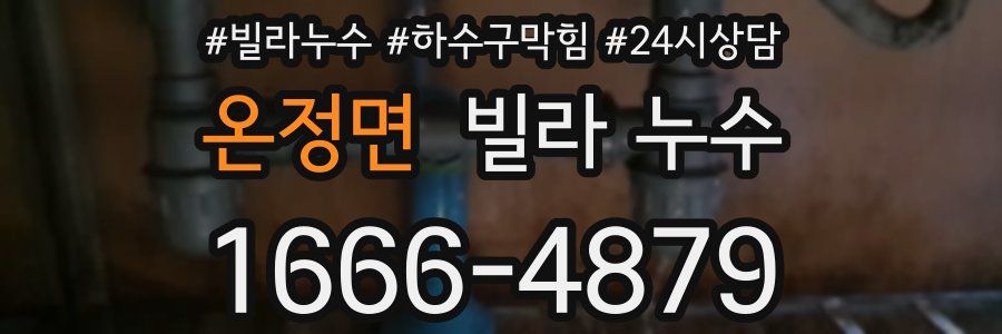 온정면 빌라 누수