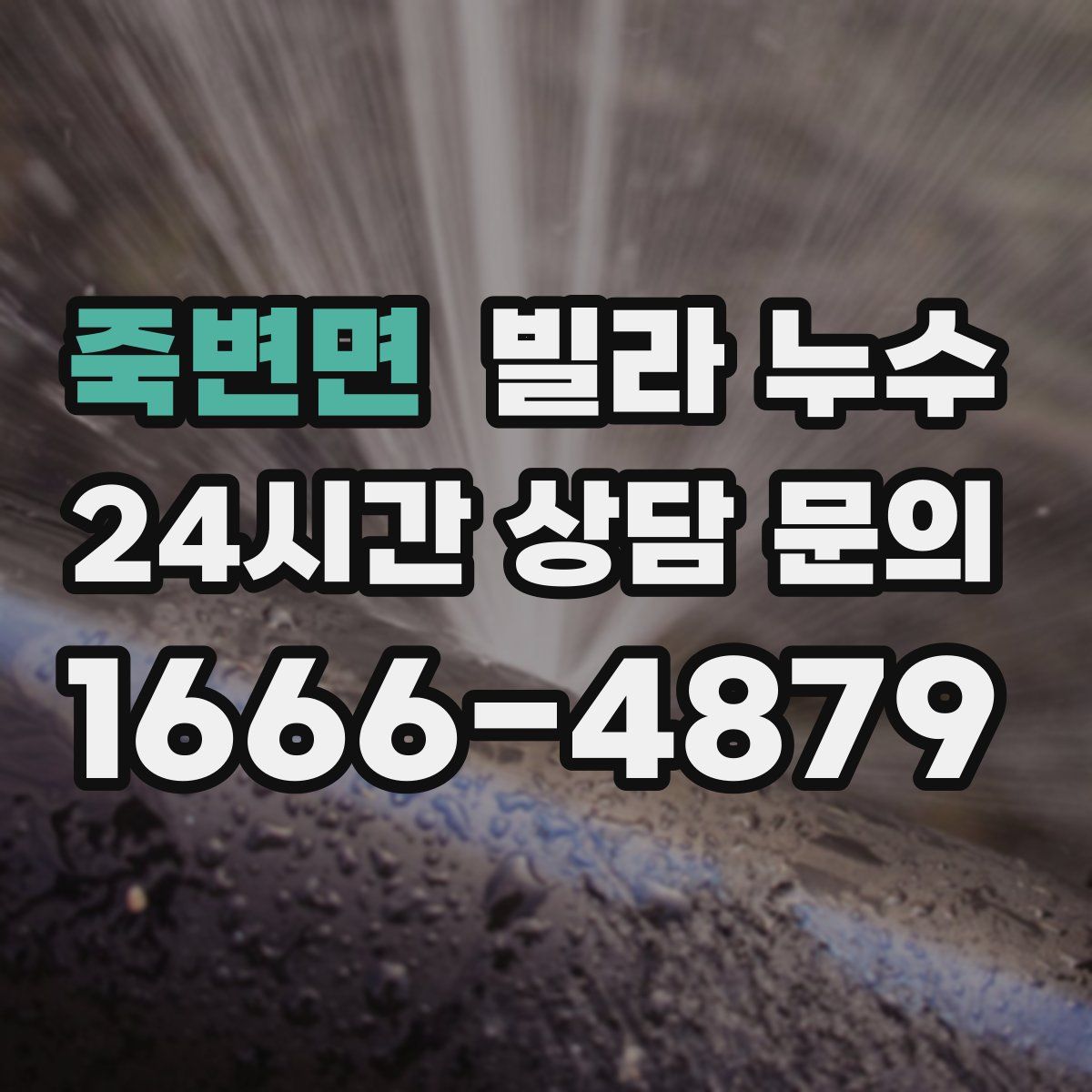 죽변면 빌라 누수