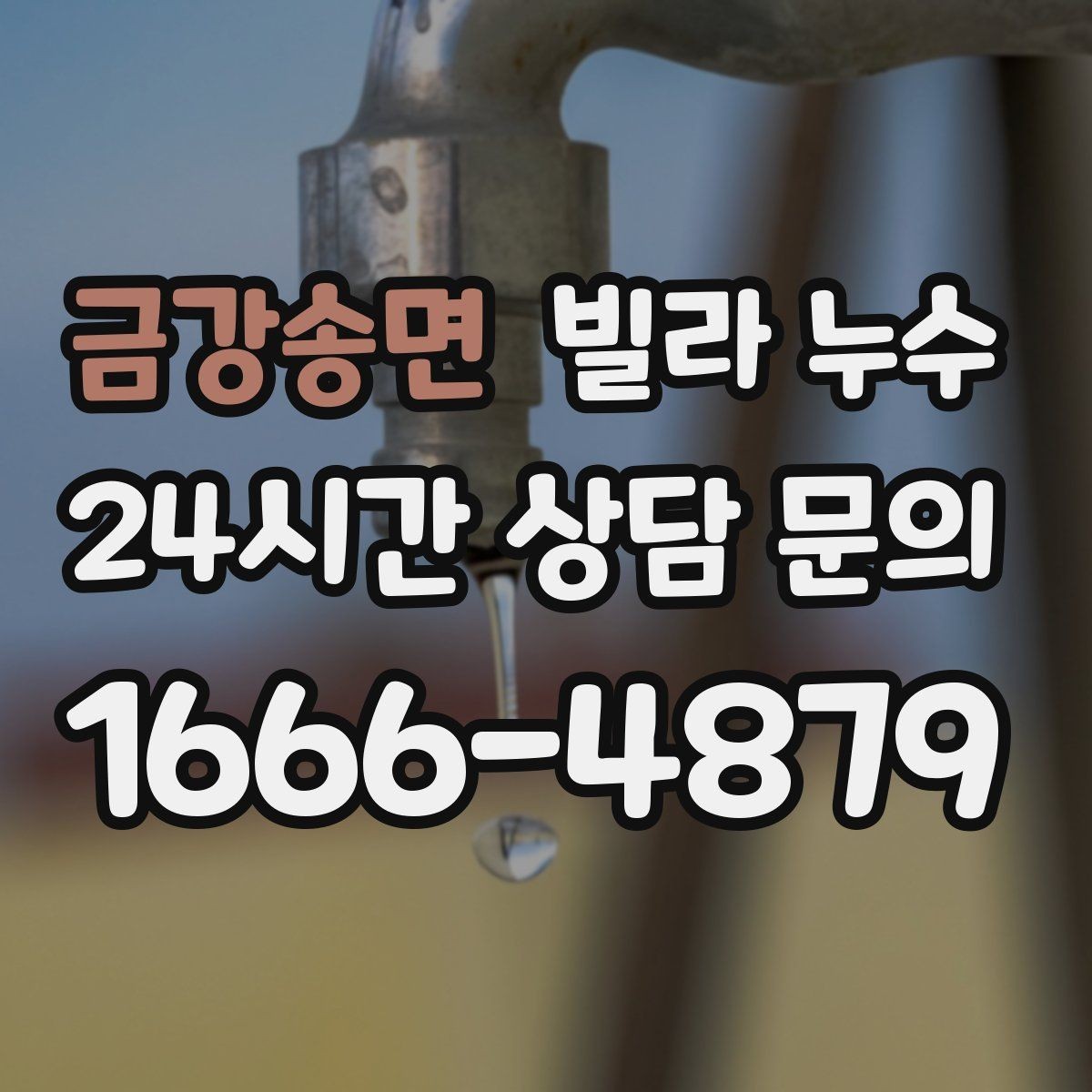 금강송면 빌라 누수 바닥 몰딩이 부풀면 내부 습기 신호