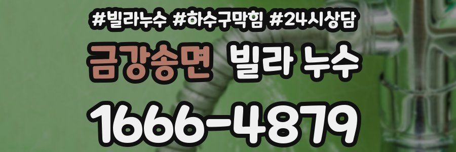 금강송면 빌라 누수