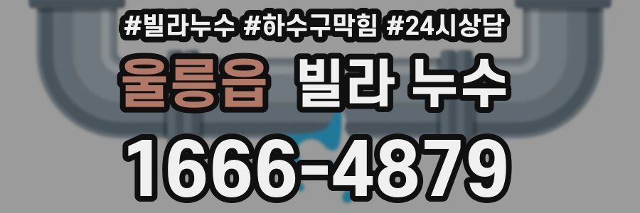 울릉읍 빌라 누수