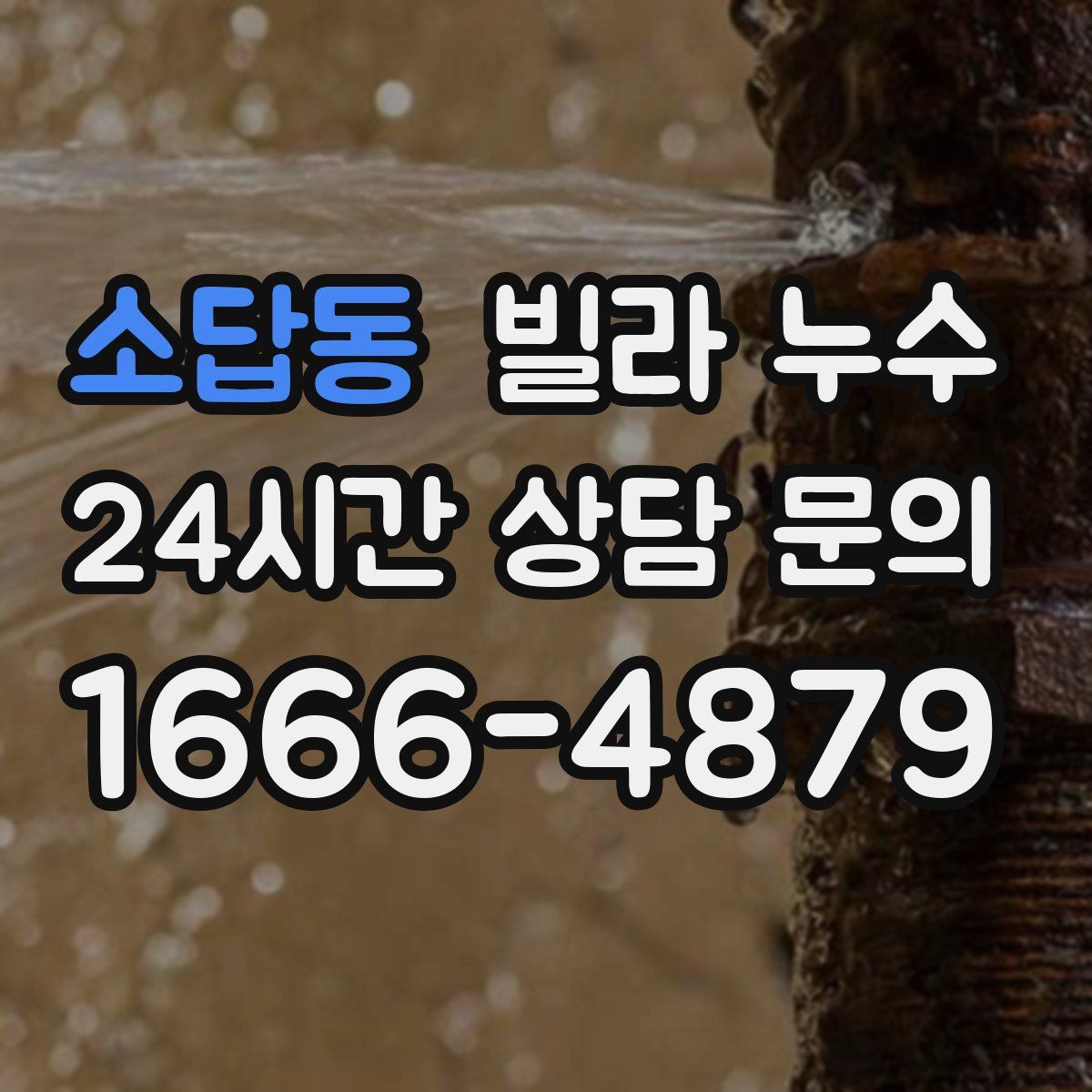 소답동 빌라 누수