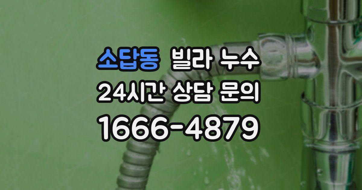 소답동 빌라 누수