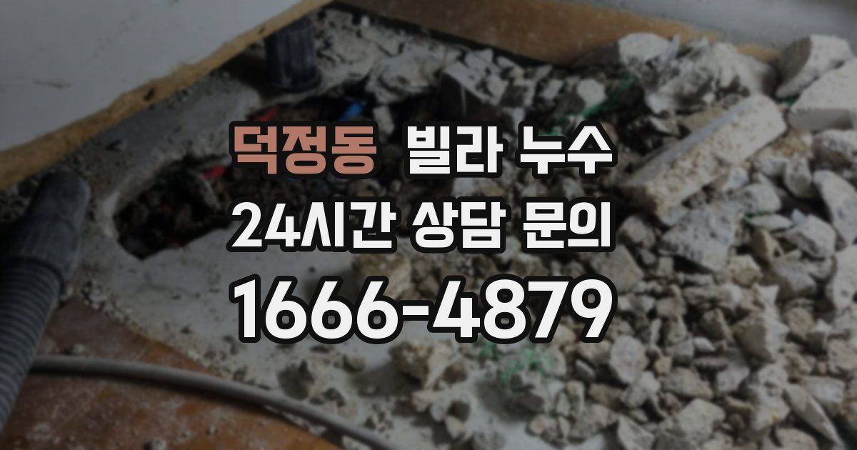 덕정동 빌라 누수