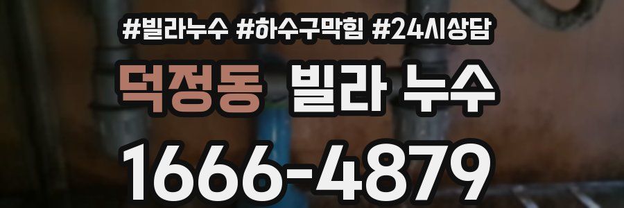 덕정동 빌라 누수