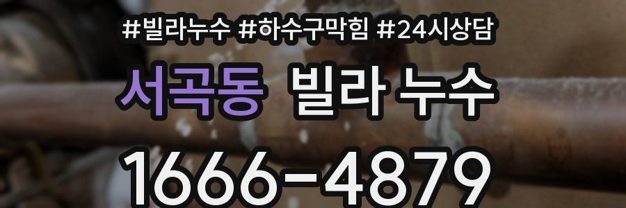 서곡동 빌라 누수