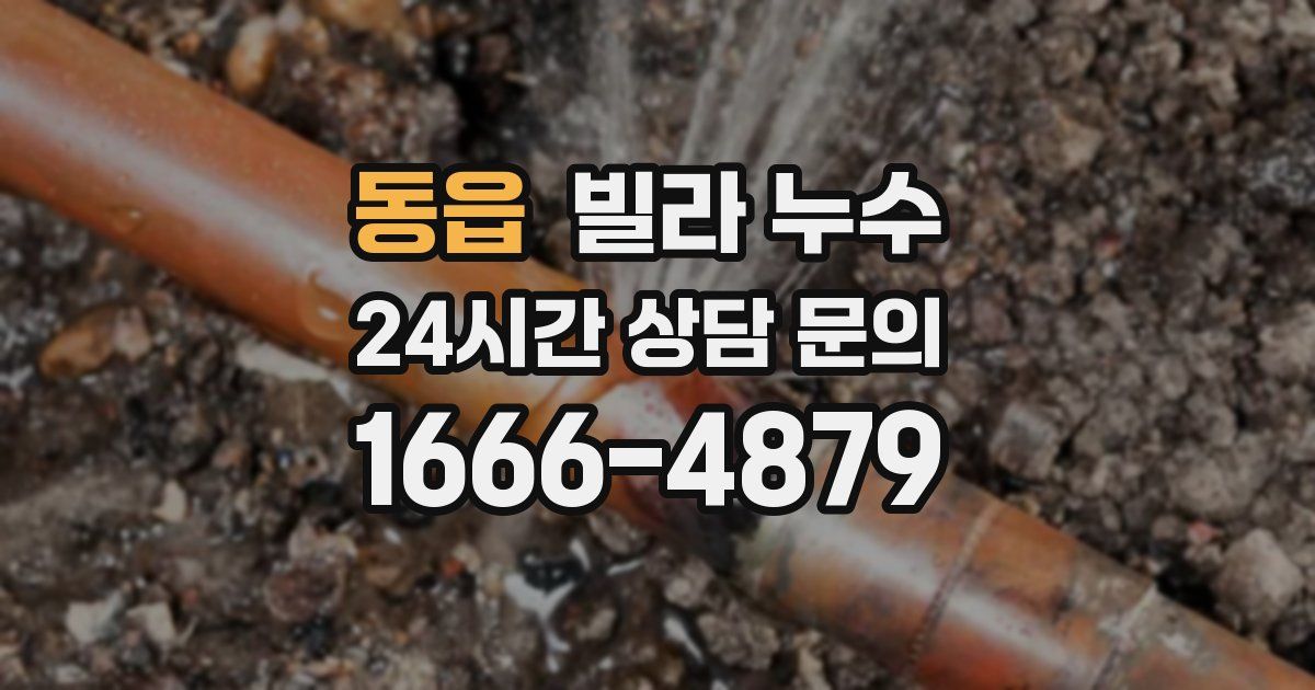 동읍 빌라 누수