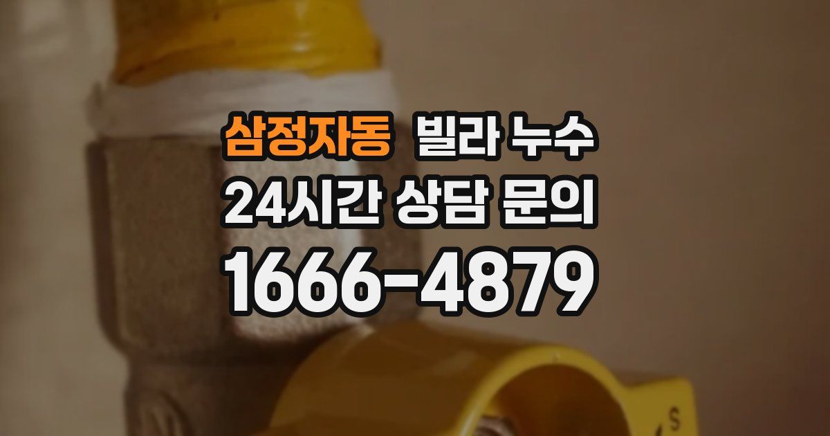 삼정자동 빌라 누수