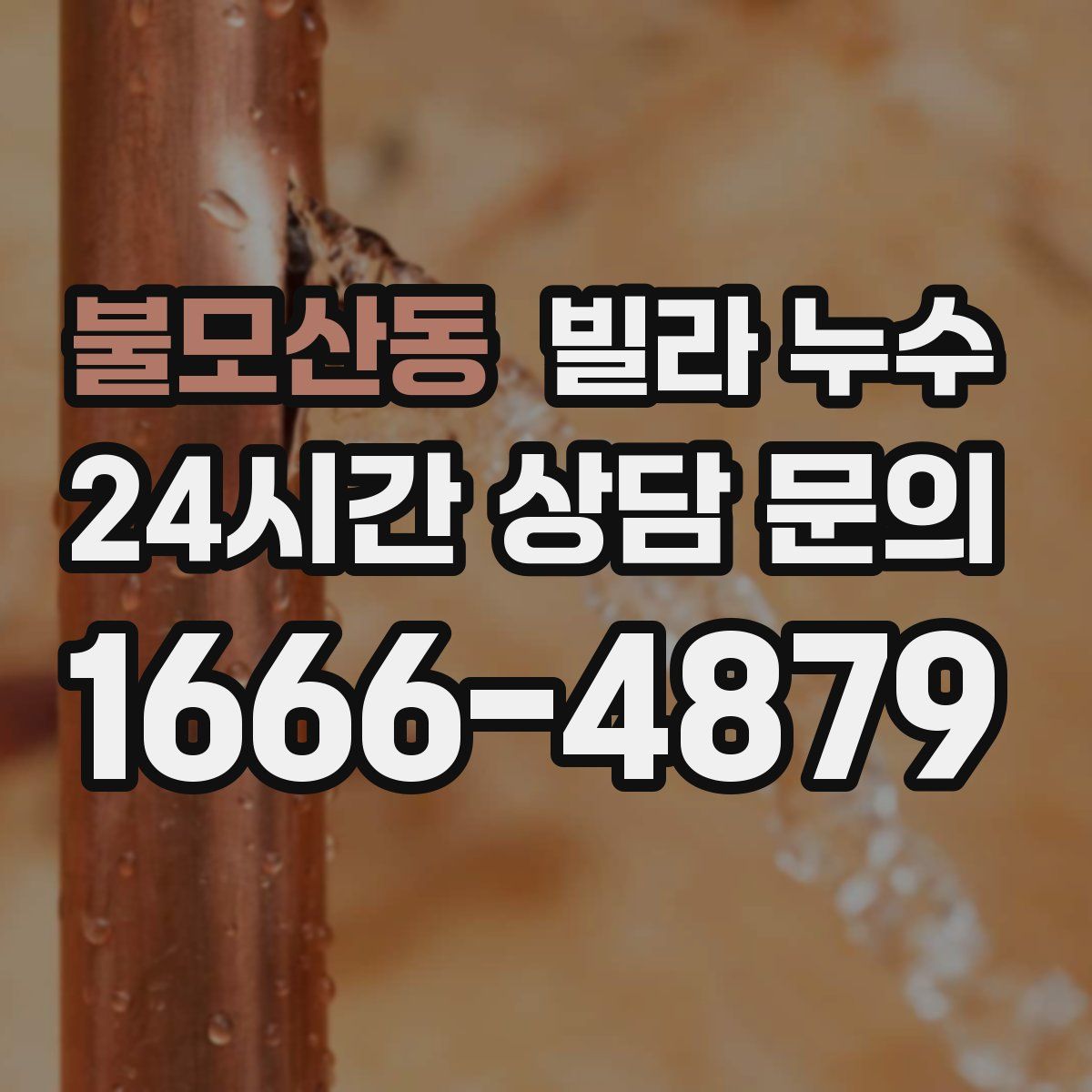 불모산동 빌라 누수