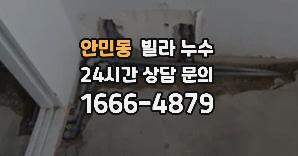안민동 빌라 누수