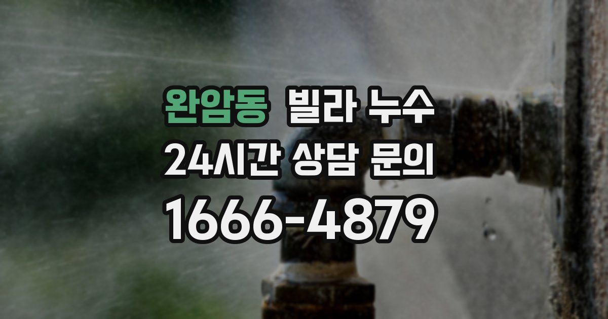 완암동 빌라 누수