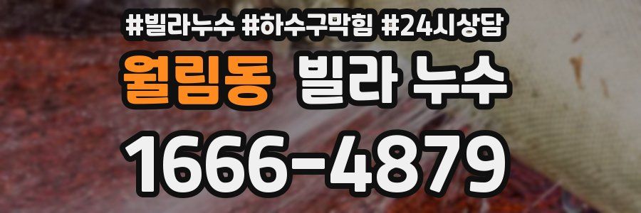 월림동 빌라 누수