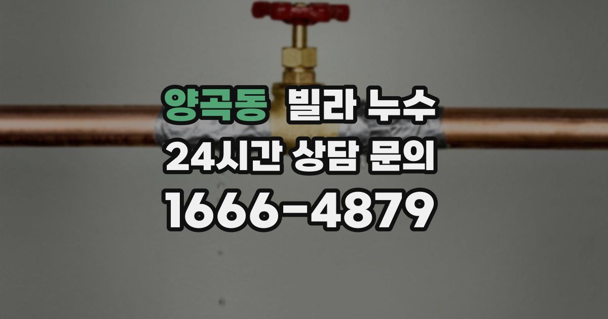 양곡동 빌라 누수