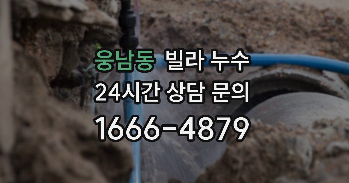 웅남동 빌라 누수