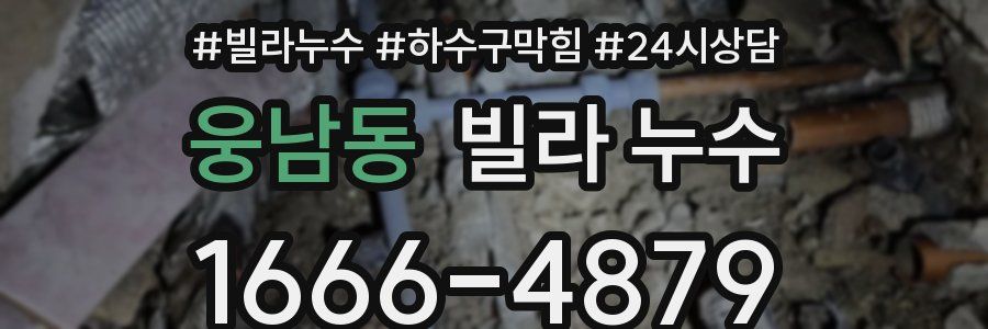 웅남동 빌라 누수