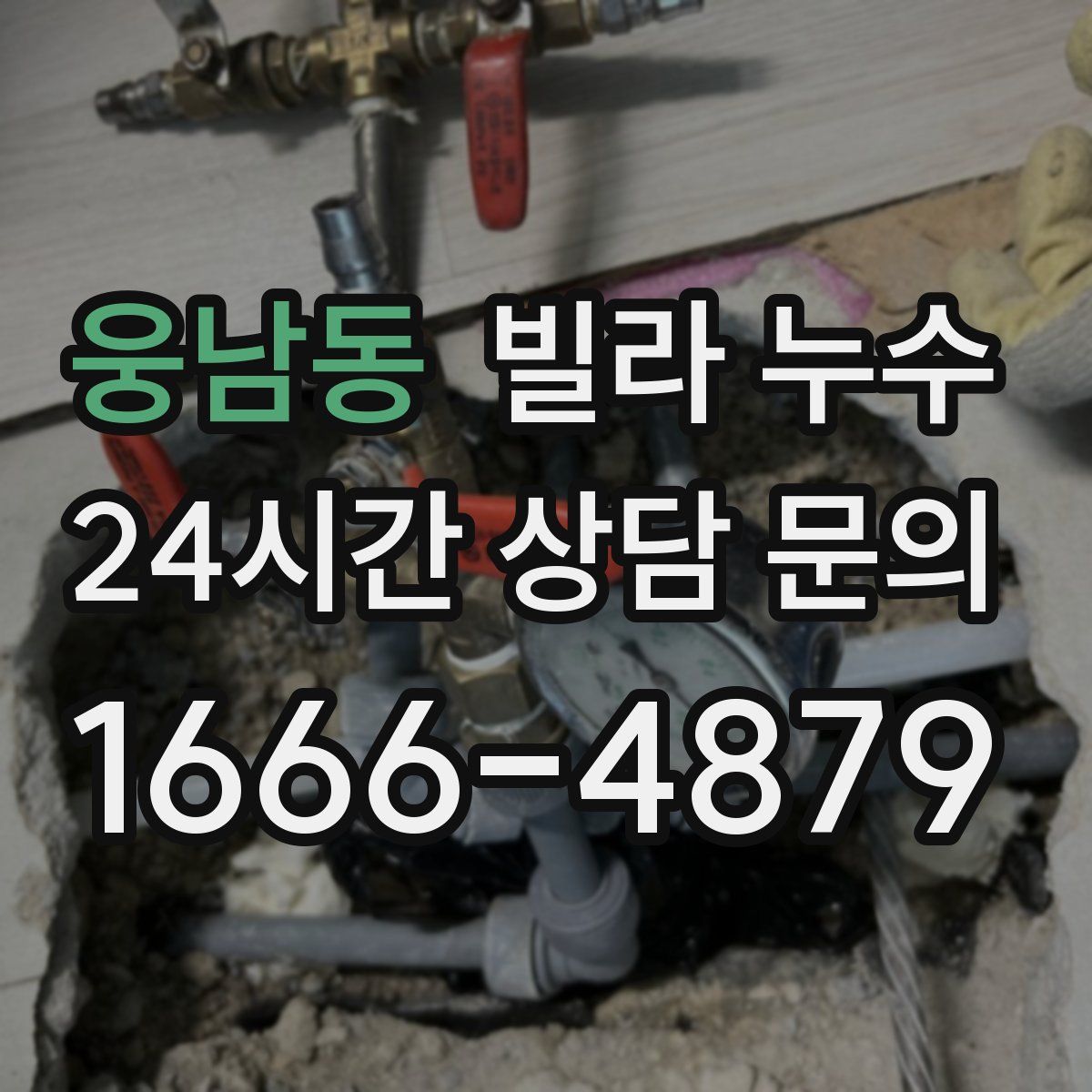 웅남동 빌라 누수