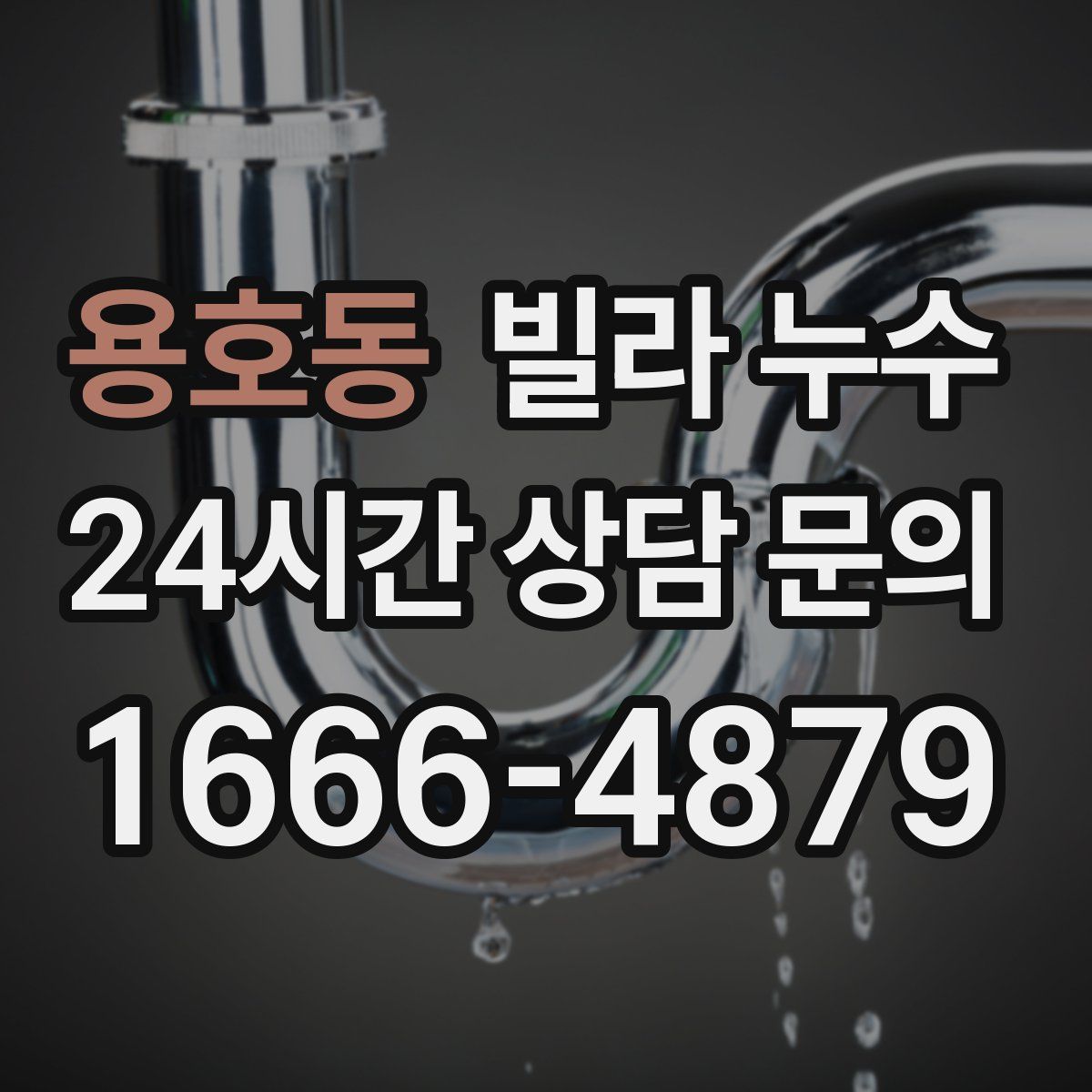 용호동 빌라 누수