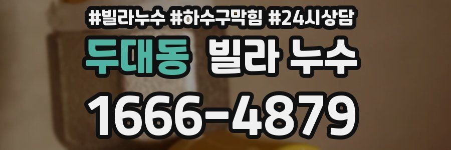 두대동 빌라 누수