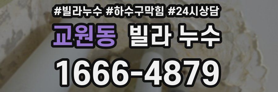 교원동 빌라 누수