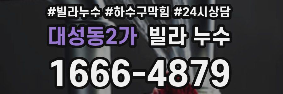 대성동2가 빌라 누수