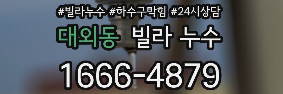 대외동 빌라 누수