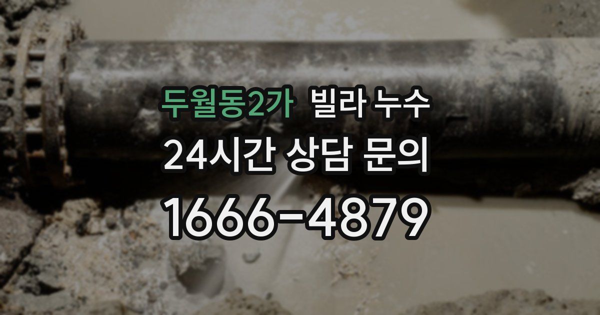 두월동2가 빌라 누수